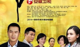 爷们儿电视剧演员表,实力派明星齐聚一堂，演绎热血人生